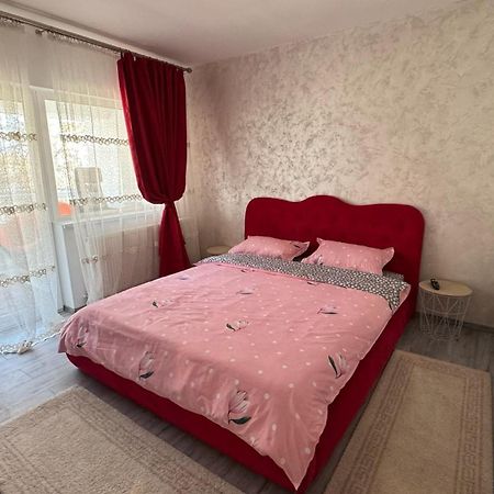 Apartament cozy Dragasani Zewnętrze zdjęcie