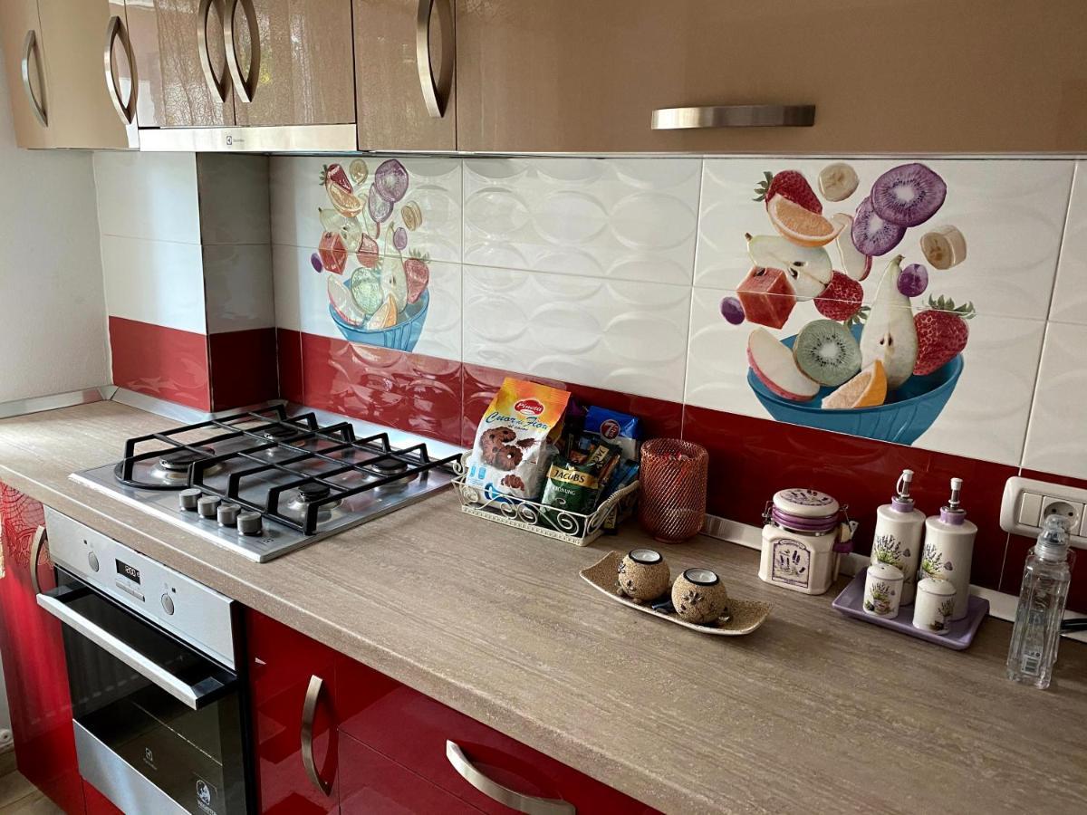 Apartament cozy Dragasani Zewnętrze zdjęcie
