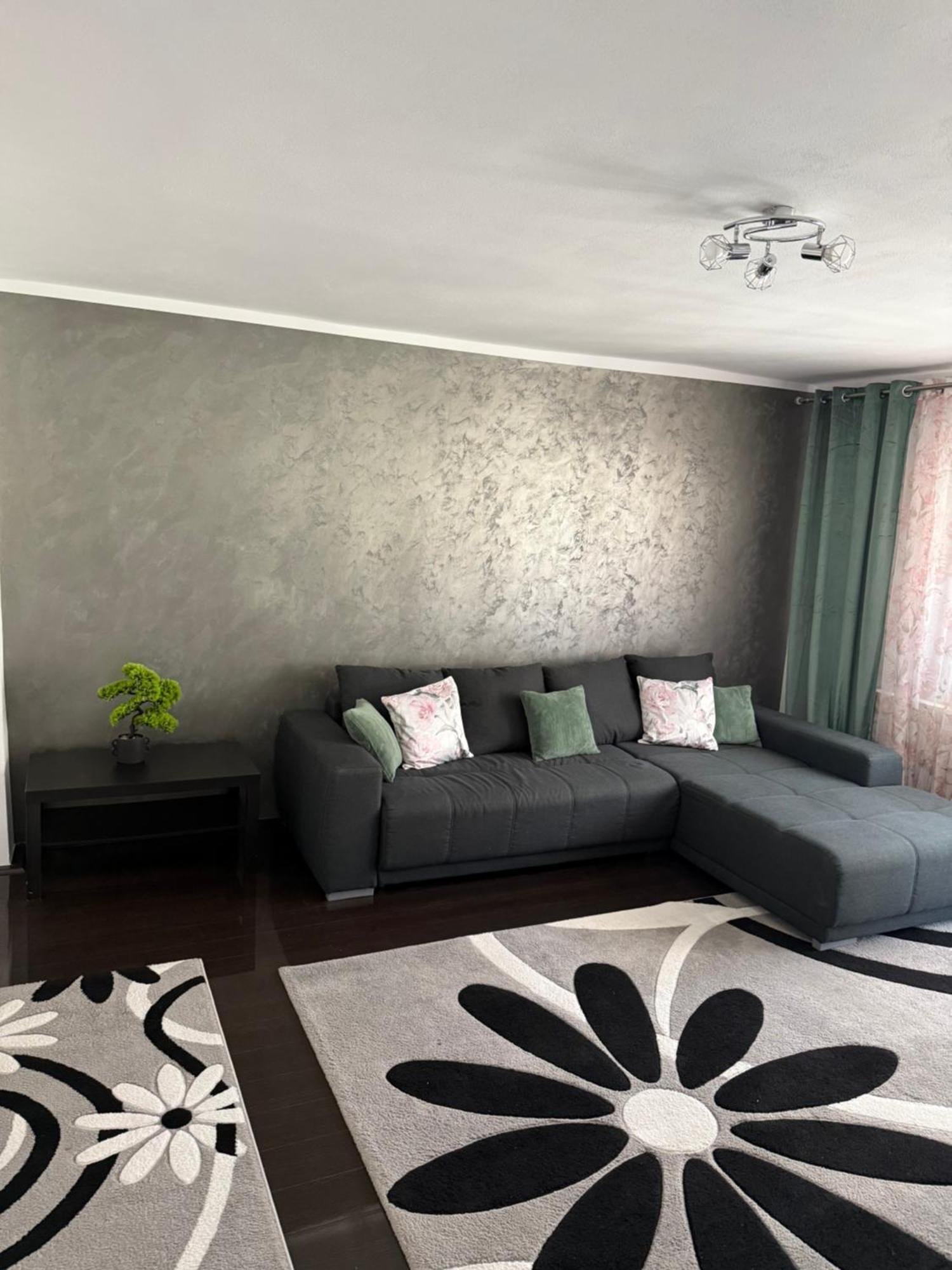 Apartament cozy Dragasani Zewnętrze zdjęcie