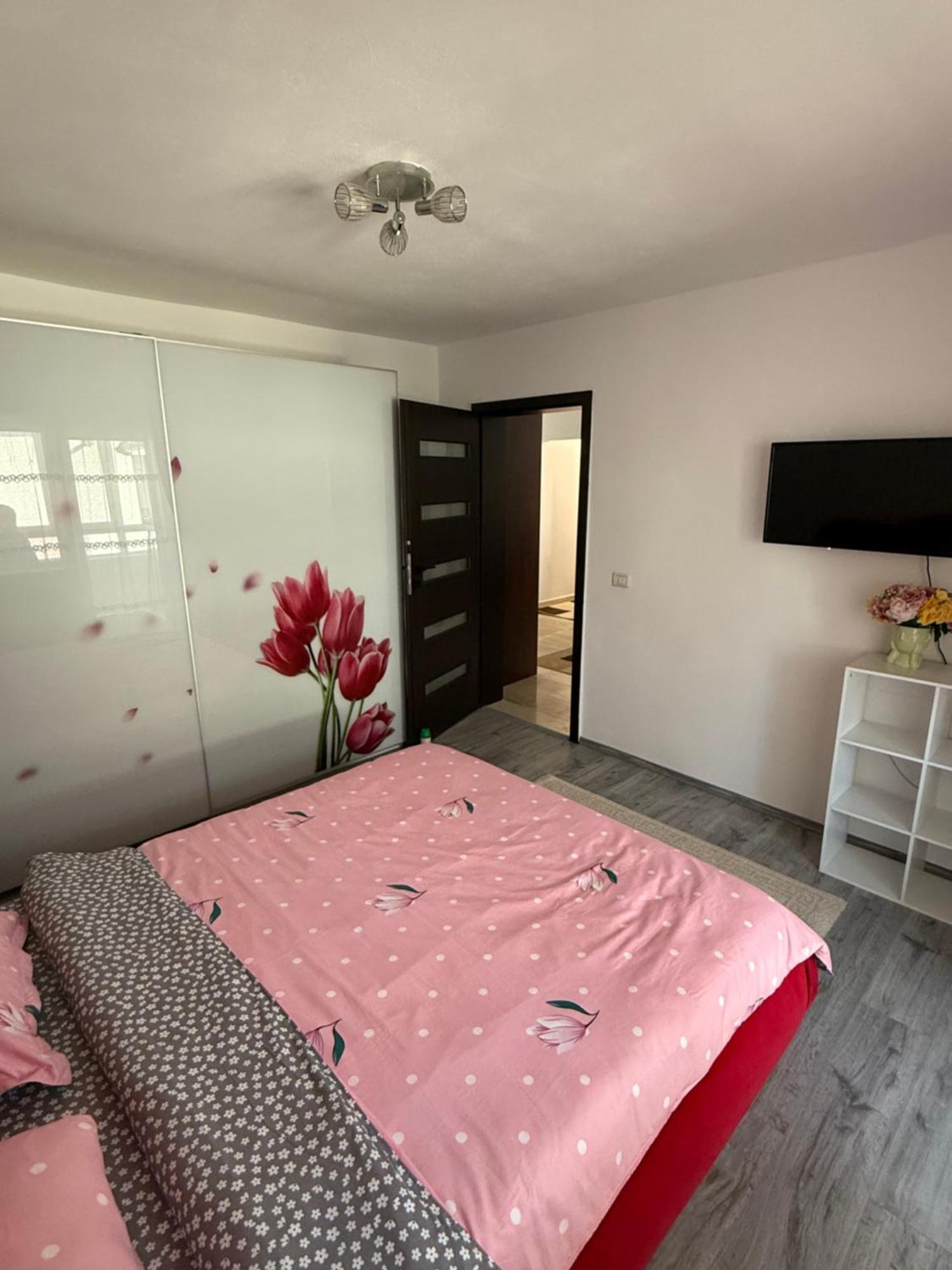 Apartament cozy Dragasani Zewnętrze zdjęcie
