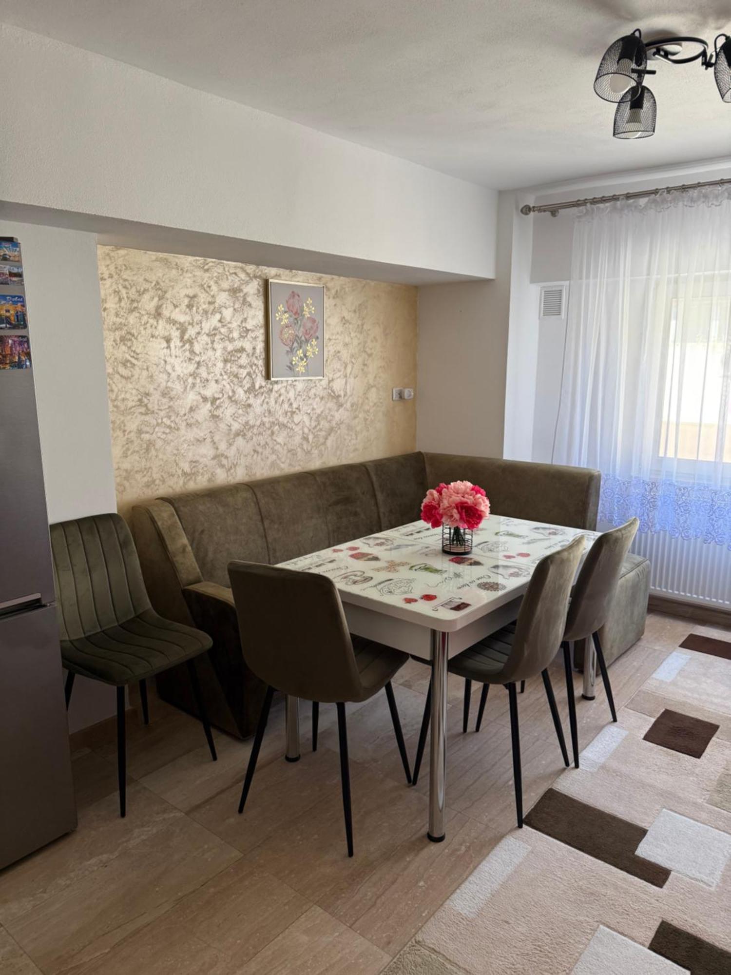 Apartament cozy Dragasani Zewnętrze zdjęcie