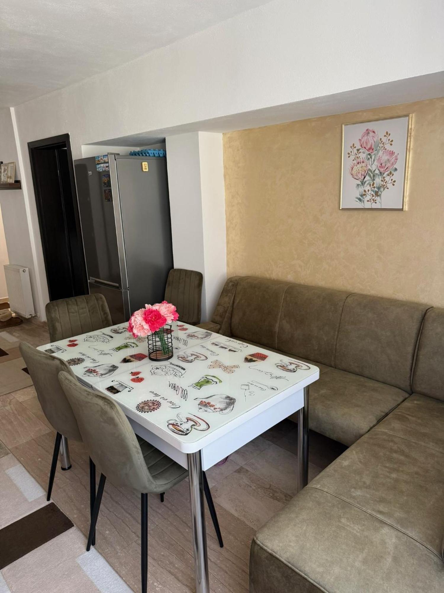 Apartament cozy Dragasani Zewnętrze zdjęcie